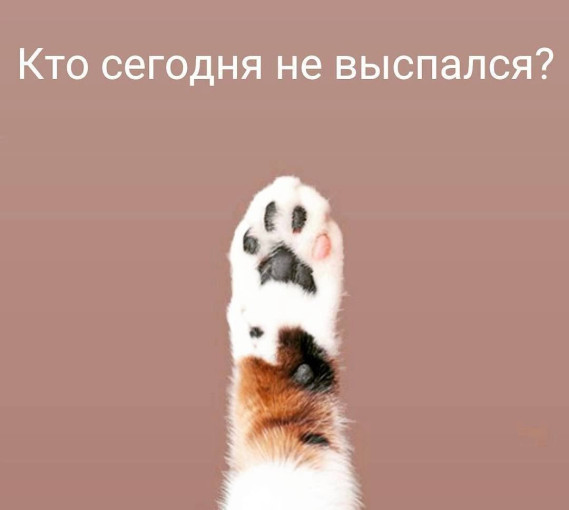 .